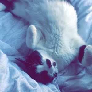 Meet your Posher, Zoe